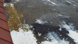 Nástup na běžecké tratě