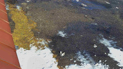 Nástup na běžecké tratě