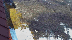 Nástup na běžecké tratě