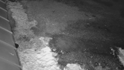 Nástup na běžecké tratě