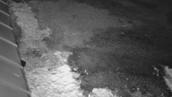 Nástup na běžecké tratě