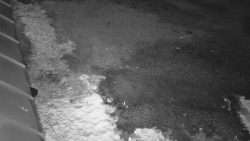 Nástup na běžecké tratě