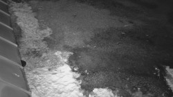 Nástup na běžecké tratě