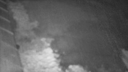 Nástup na běžecké tratě