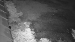 Nástup na běžecké tratě