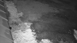 Nástup na běžecké tratě