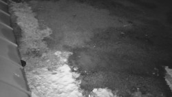 Nástup na běžecké tratě