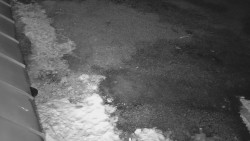 Nástup na běžecké tratě