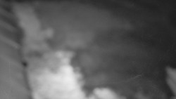 Nástup na běžecké tratě