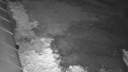 Nástup na běžecké tratě