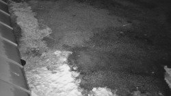 Nástup na běžecké tratě