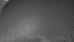 Nástup na běžecké tratě