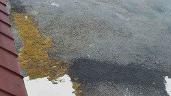 Nástup na běžecké tratě