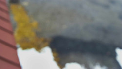 Nástup na běžecké tratě