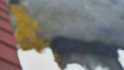 Nástup na běžecké tratě