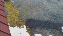 Nástup na běžecké tratě