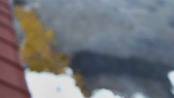 Nástup na běžecké tratě