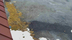 Nástup na běžecké tratě