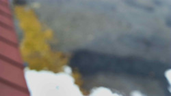 Nástup na běžecké tratě