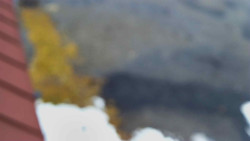 Nástup na běžecké tratě