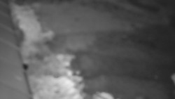 Nástup na běžecké tratě