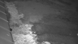 Nástup na běžecké tratě