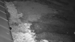 Nástup na běžecké tratě