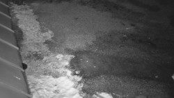 Nástup na běžecké tratě