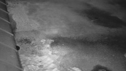 Nástup na běžecké tratě