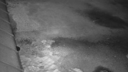 Nástup na běžecké tratě