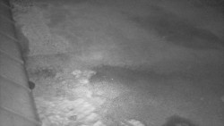 Nástup na běžecké tratě