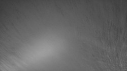 Nástup na běžecké tratě