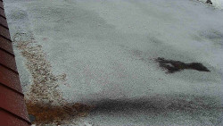 Nástup na běžecké tratě