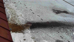 Nástup na běžecké tratě