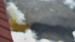 Nástup na běžecké tratě