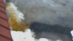 Nástup na běžecké tratě