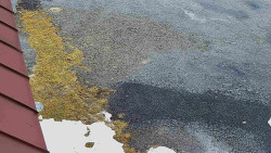 Nástup na běžecké tratě