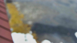 Nástup na běžecké tratě