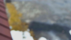 Nástup na běžecké tratě