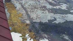 Nástup na běžecké tratě