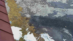 Nástup na běžecké tratě