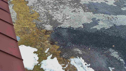 Nástup na běžecké tratě