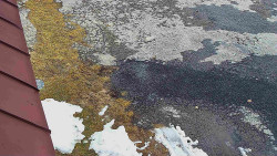 Nástup na běžecké tratě