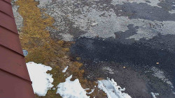 Nástup na běžecké tratě