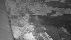 Nástup na běžecké tratě