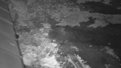 Nástup na běžecké tratě