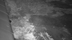 Nástup na běžecké tratě