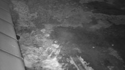 Nástup na běžecké tratě