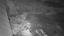 Nástup na běžecké tratě