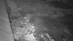 Nástup na běžecké tratě